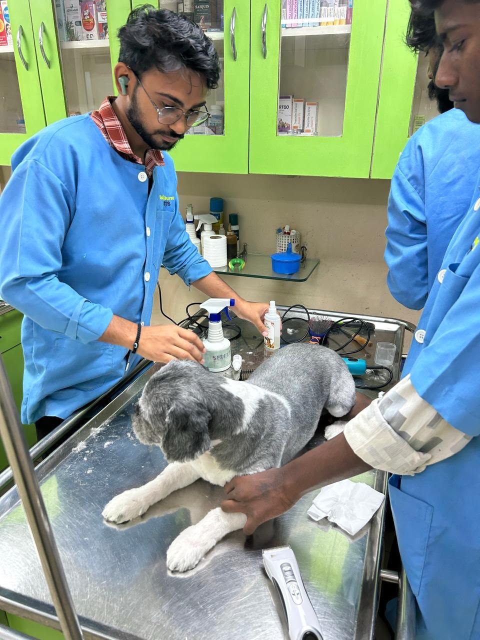 Golf Course Vets clinic and pet care